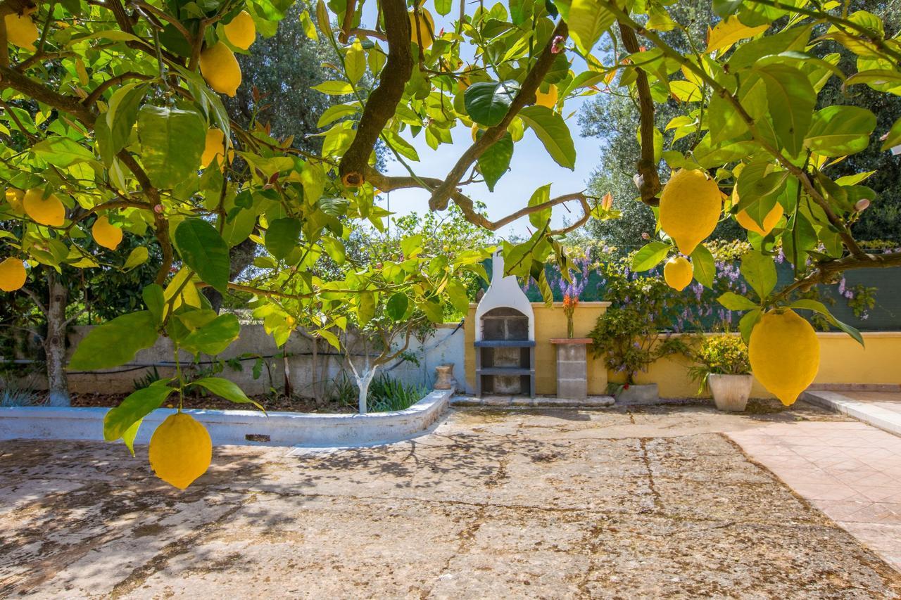 Casa Mediterranea Dei Normanni San Vito dei Normanni Buitenkant foto